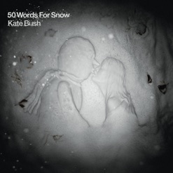 50 WORDS FOR SNOW cover art