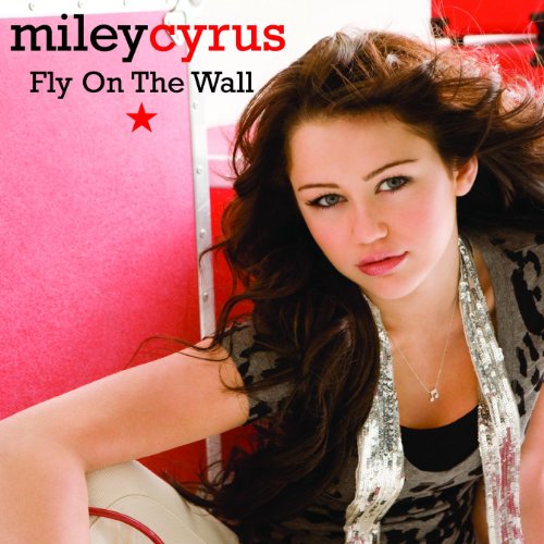 FLY ON THE WALL cover art