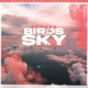 BIRDS IN THE SKY cover art